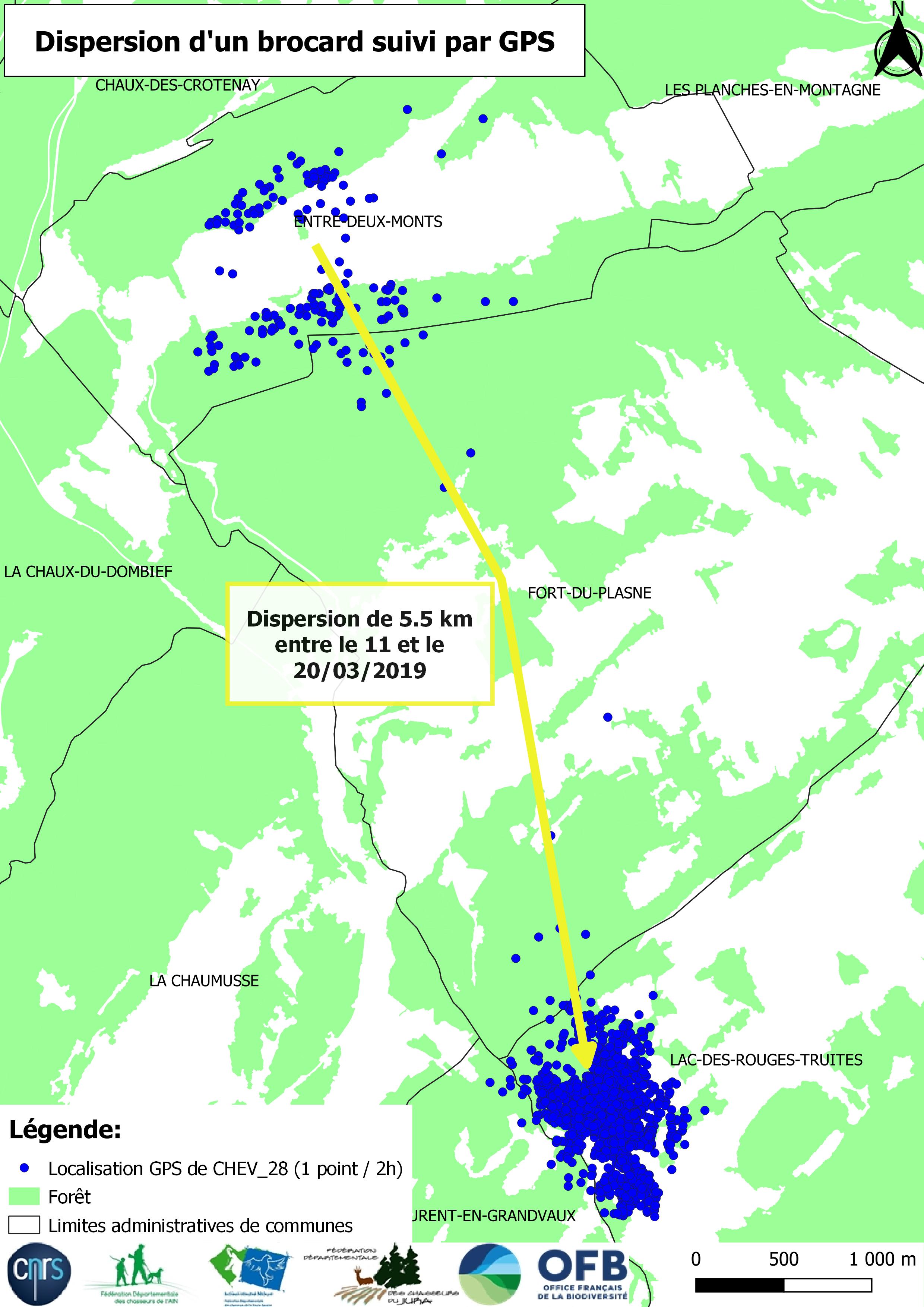 Dispersion d'un brocard entre les communes d'Entre-deux-Monts et du Lac-des-Rouges-Truites