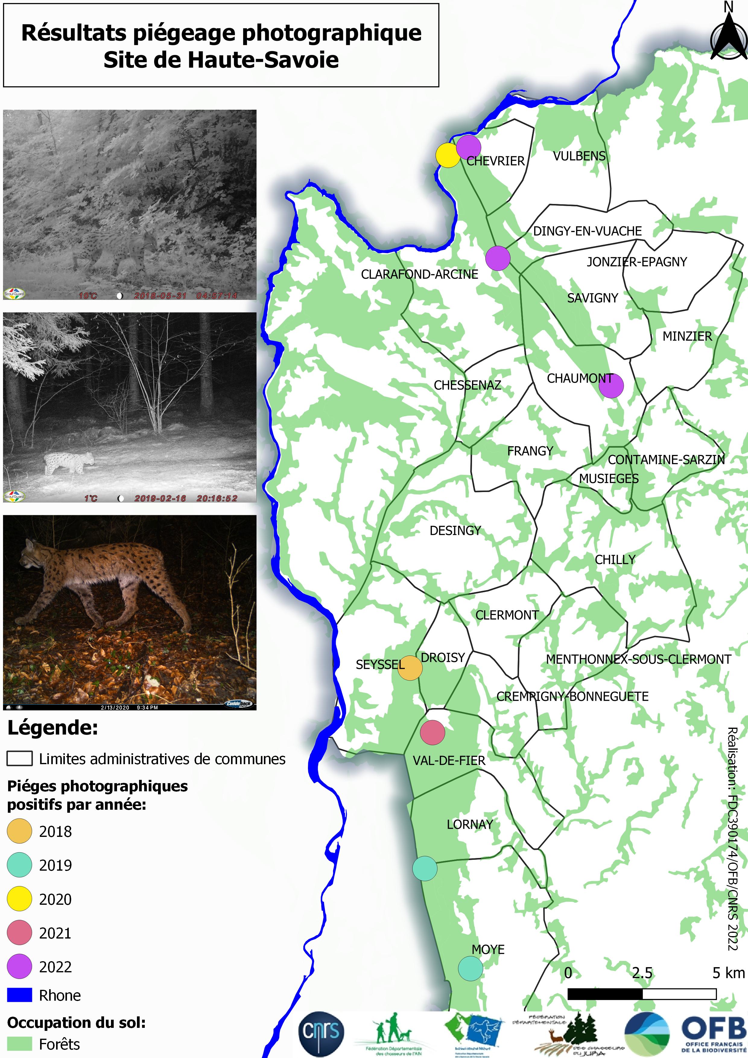 Résultats du suivi photographique des lynx en Haute-Savoie
