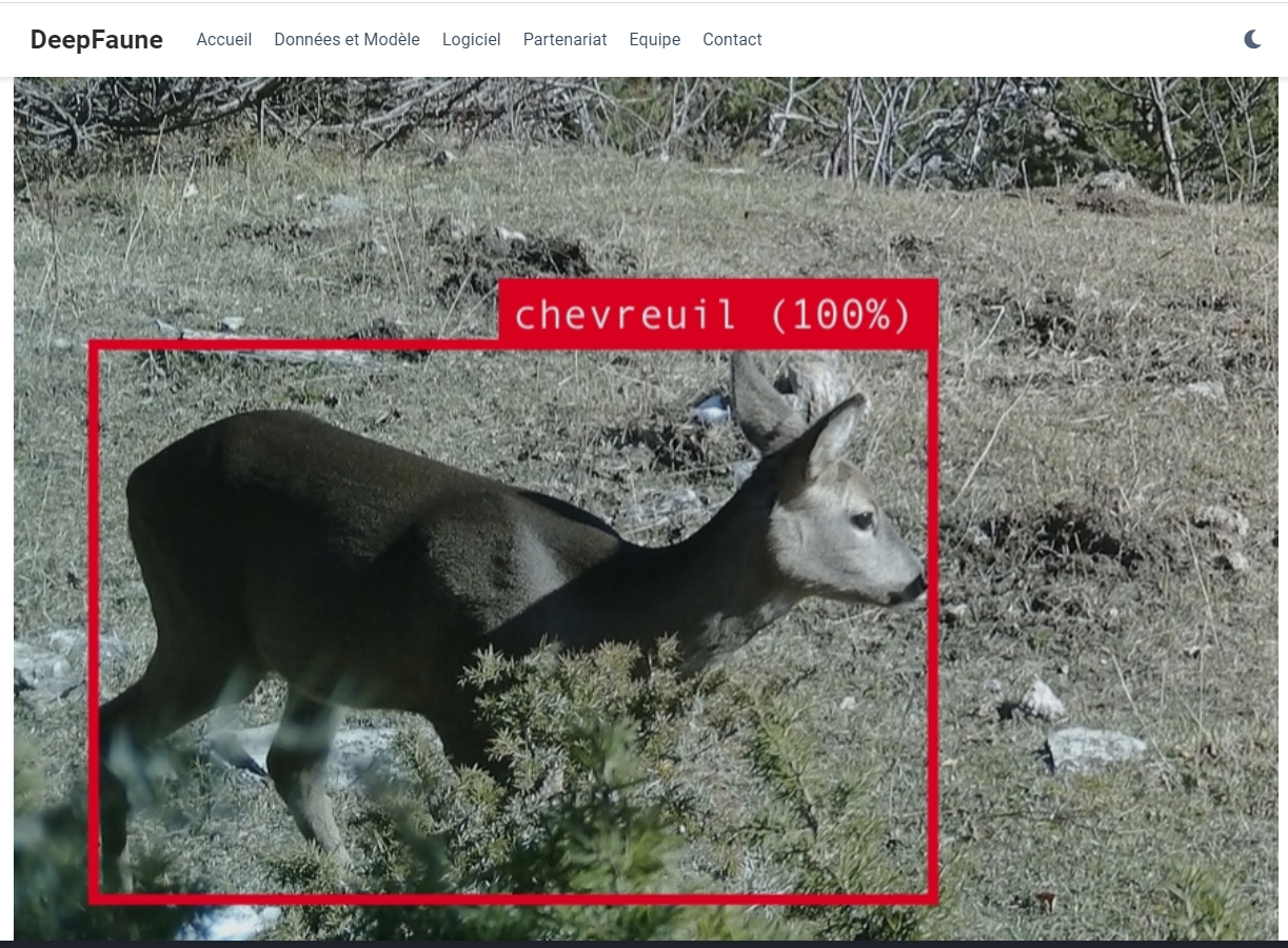 Accueil du site internet DeepFaune