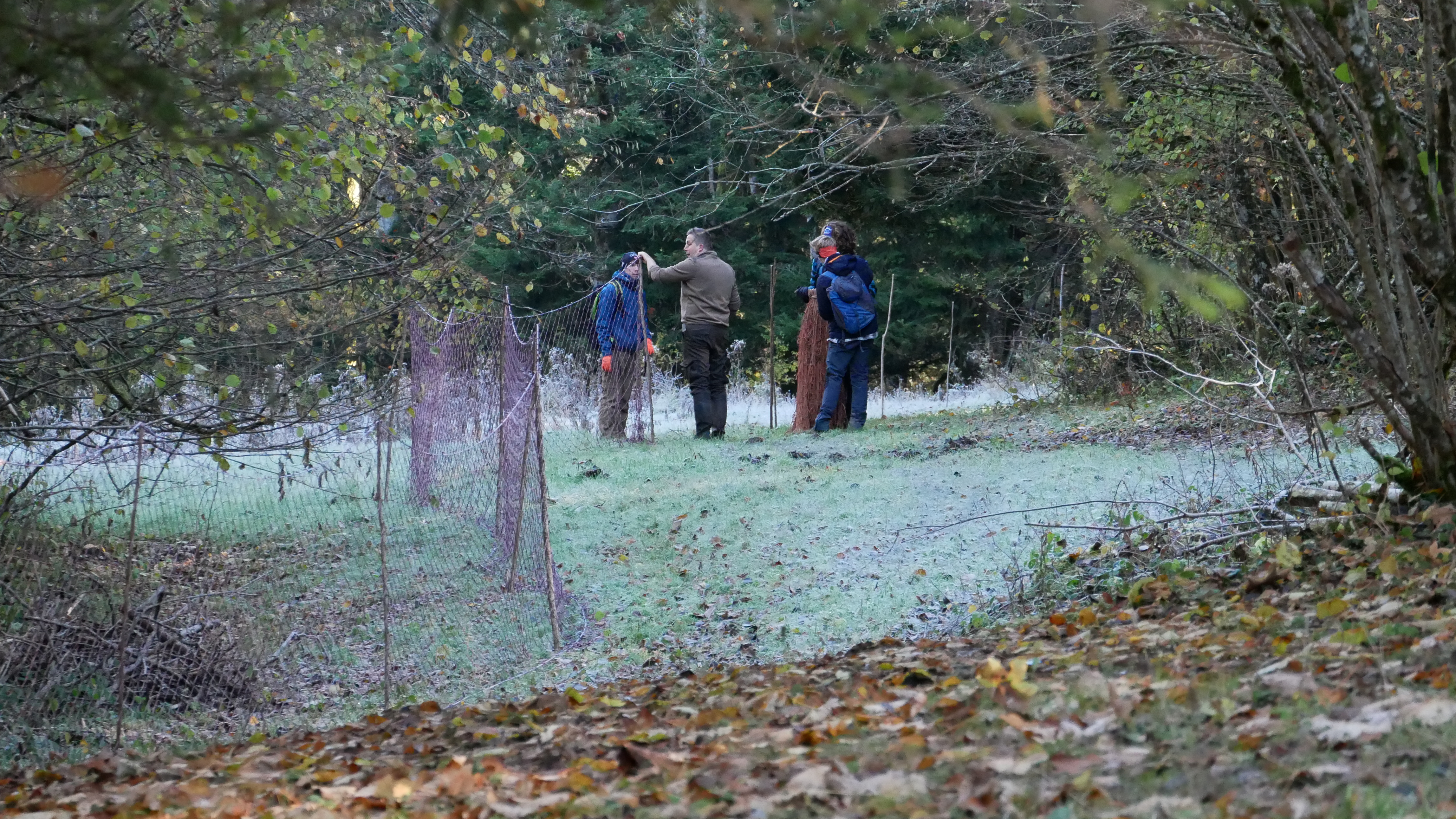 Installation des filets dans le cadre d'une capture par panneautage. Généralement, entre 1 et 3 km de filets sont installés.