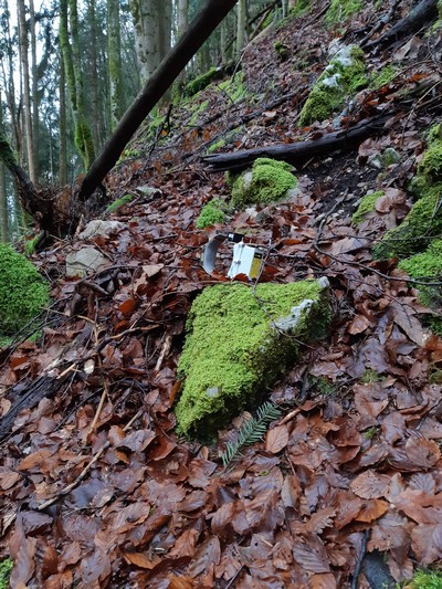 Collier GPS tombé automatiquement après 1 an de suivi d’un chamois et récupération par les agents de terrain © FDC39