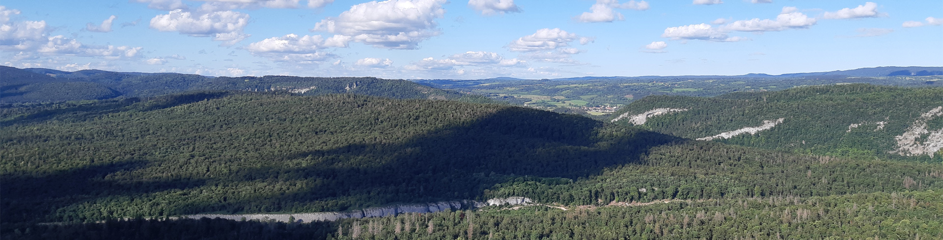 Le massif jurassien est un écosystème de moyenne montagne soumis à diverses contraintes climatiques notamment, susceptibles d'affecter les populations d'ongulés © FDC39