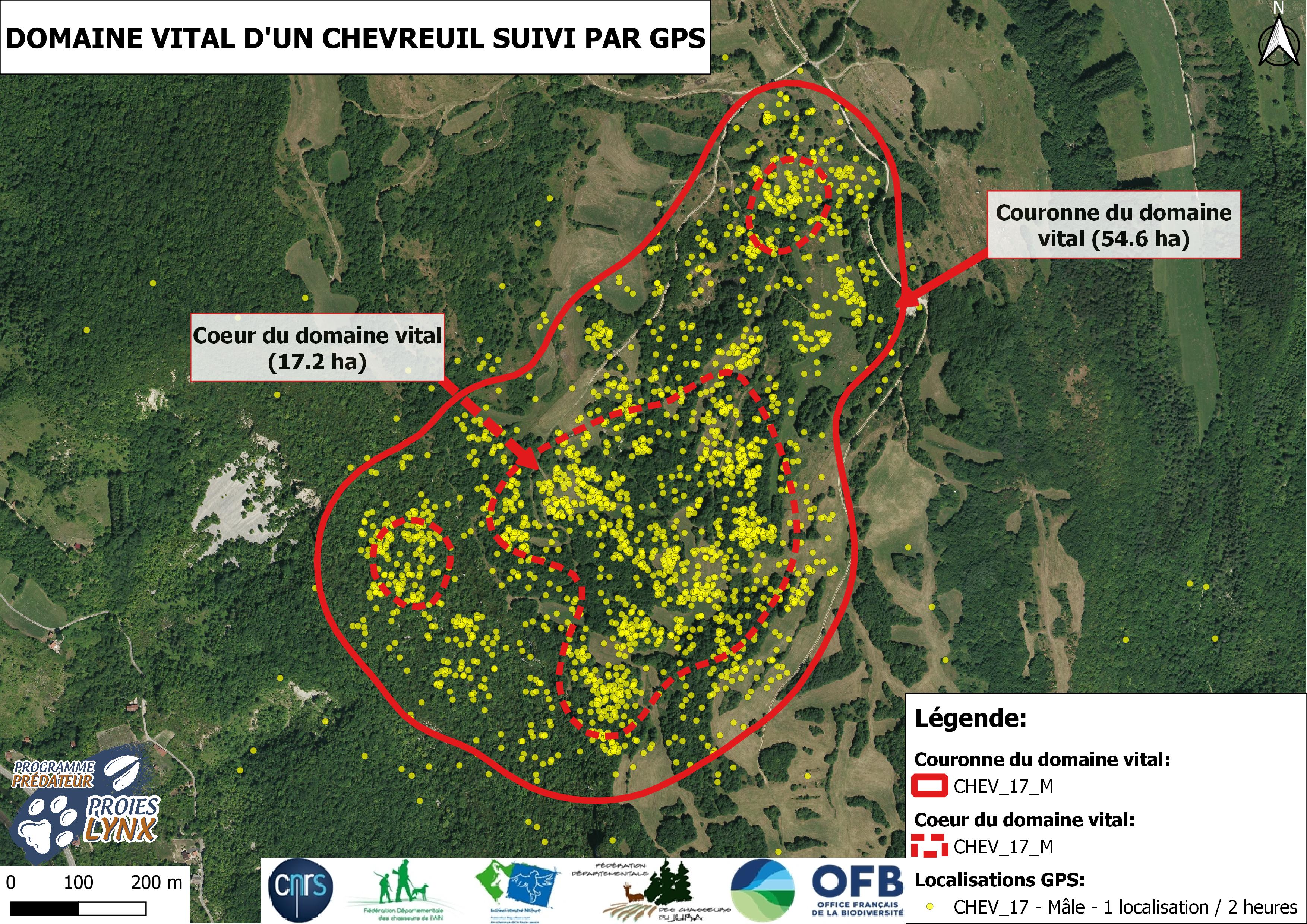 Domaine vital annuel d'un brocard suivi dans l'Ain