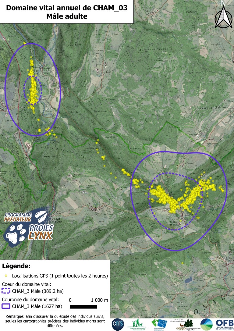 Exemple de domaine vital d'un mâle de 10 ans suivi grâce à un collier GPS. Cet individu disposait de deux domaines vitaux distincts selon la saison.