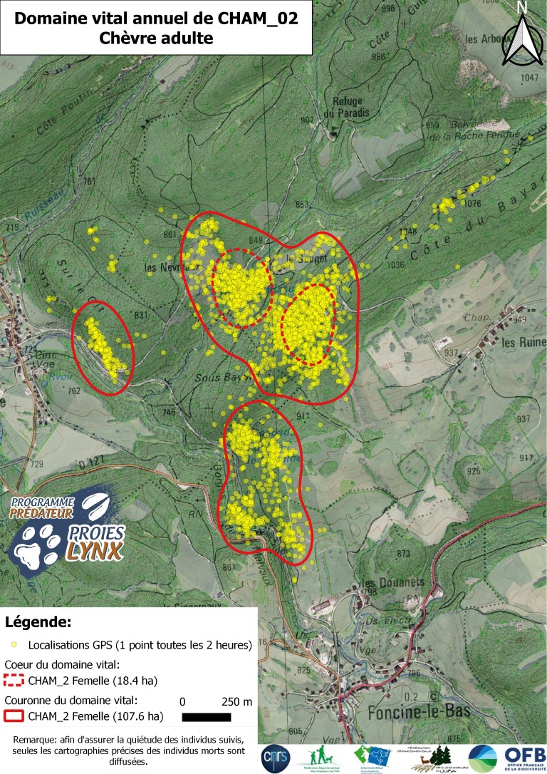 Exemple de domaine vital d'une femelle de 4 ans suivie grâce à un collier GPS