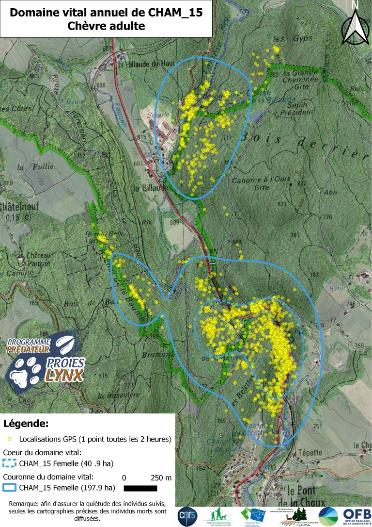 Remarque : afin d’assurer la quiétude des individus suivis, seules les cartographies précises des individus morts sont diffusées.