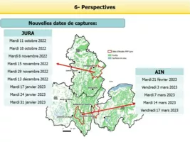 Dates des prochaines captures