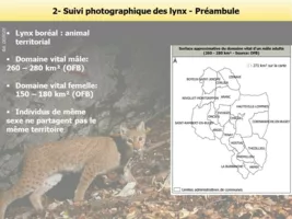 Quelques rappels sur la biologie du Lynx