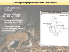 Quelques rappels sur la biologie du Lynx