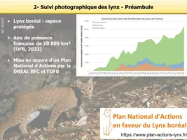 Quelques rappels sur le statut et suivi du Lynx boréal