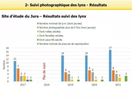 Résultats des suivis de lynx dans le Jura