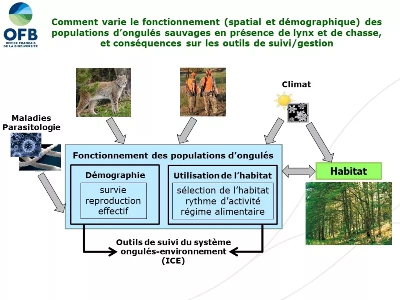 Contexte et objectifs du projet