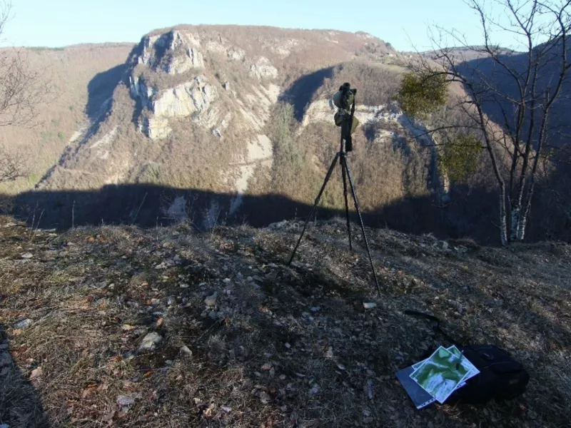 Indicateurs de changement écologiques (ICE): outils de suivi des populations de chevreuils et de chamois en lien avec leur environnement