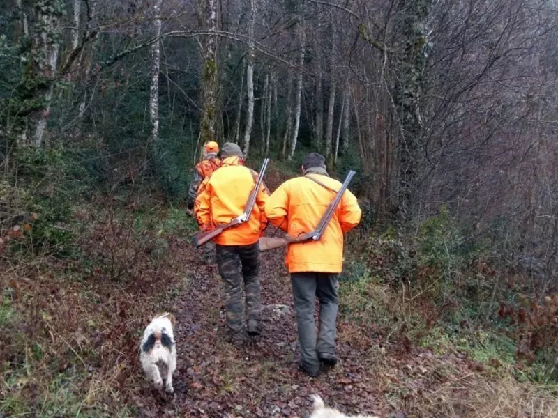 Projet 2 : cartographie de la pression de chasse et de la présence du lynx